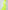SNOWCAT Base Layer Set Neon